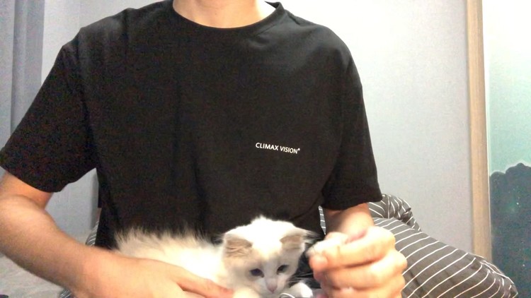 - 你们的loverboy在哪?