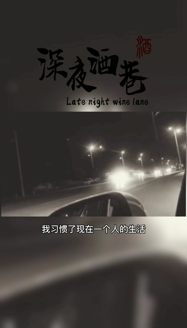  - 我习惯了一个人的生活