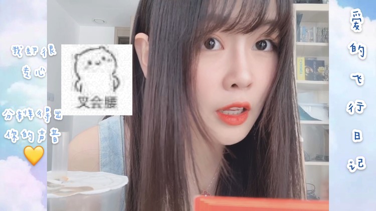 爱的飞行日记-糯米nomi