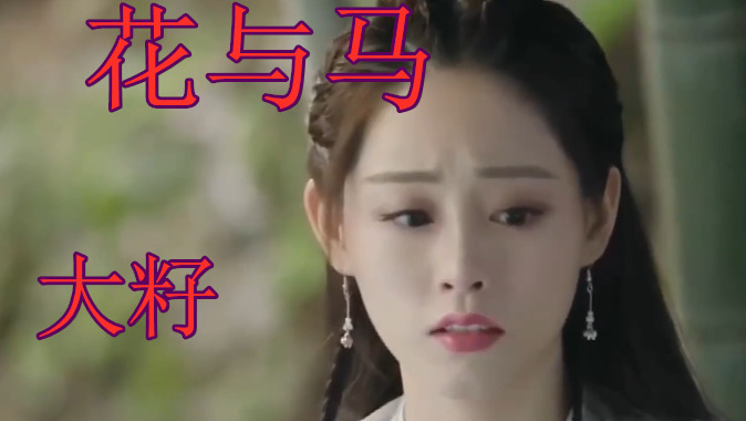 豆包相思成海衣带渐宽不悔又有谁愿流年荒废