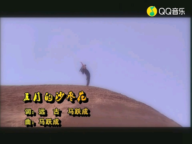新疆的名歌 五月的沙枣花.