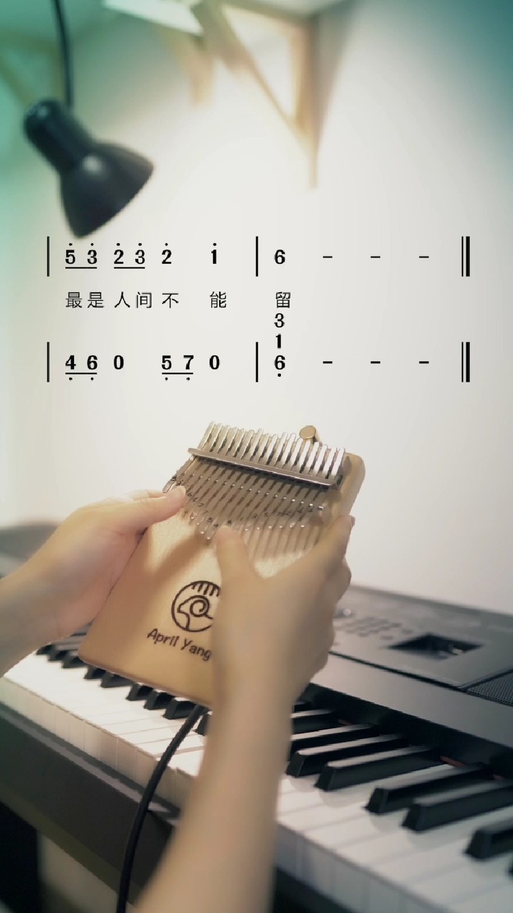 【我的世界】当minecraft里的音乐出现在真实世界-haggstrom