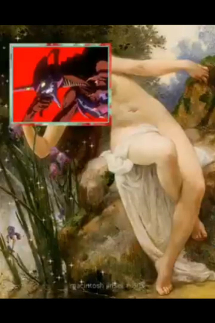  - ✧ *:･ 绽 放 *:･ﾟ✧