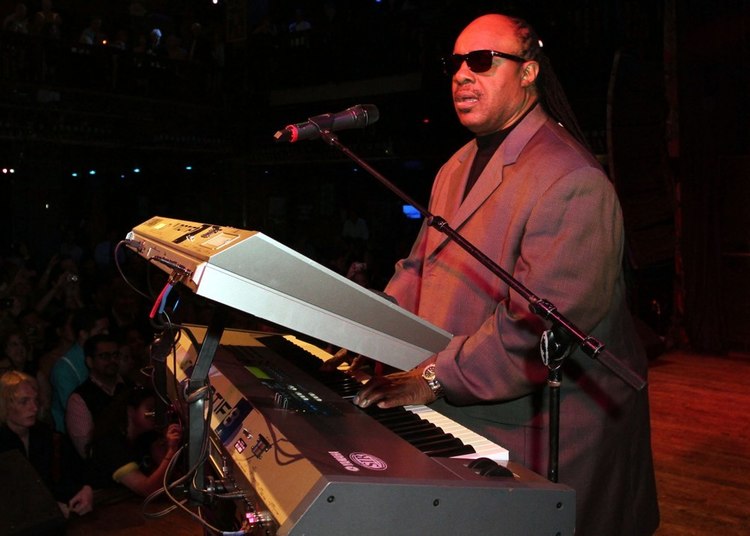 世界级艺术家:盲人音乐天才stevie wonder