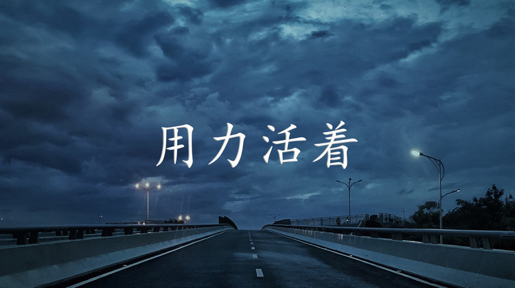 【东尼指弹】用力活着