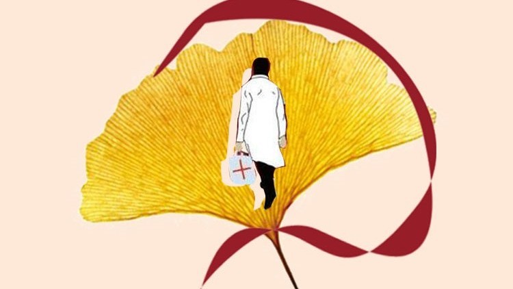  - 一片杏叶的翩跹