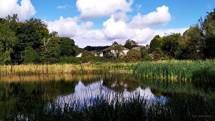  - 玩游戏学习，巫师TV到脸书商战电影，英语艺术中学影视音乐美术