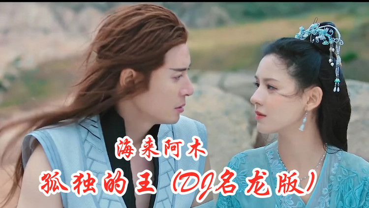 海来阿木孤独的王dj名龙版我的泪我的伤我的孤独