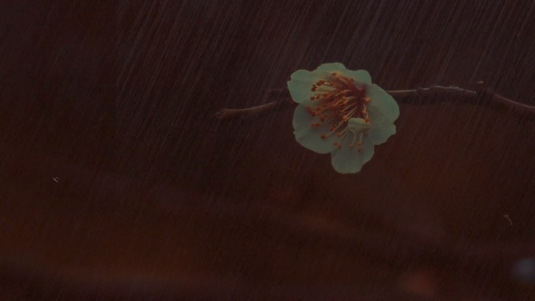  - 夜雨【国风LOFI】 