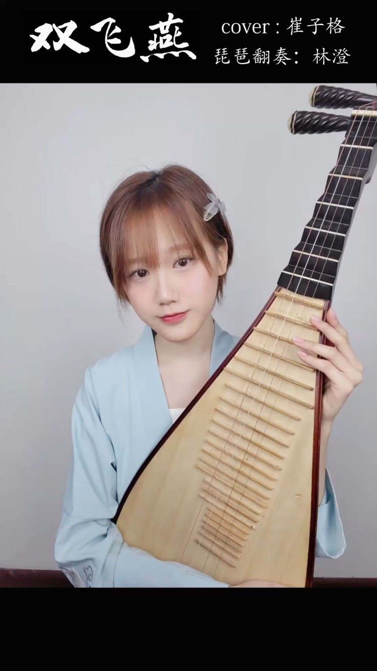  - 【琵琶翻奏】清平乐片尾曲 《双飞燕》 cover:崔子格