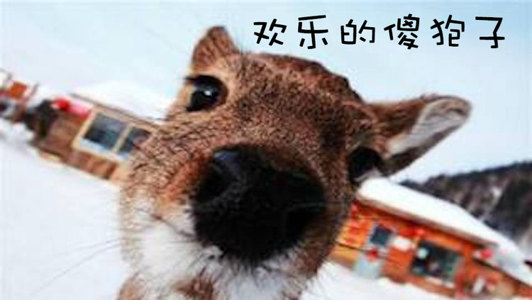  - 【竹笛】《火红的萨日朗》又名“欢乐的傻狍子”