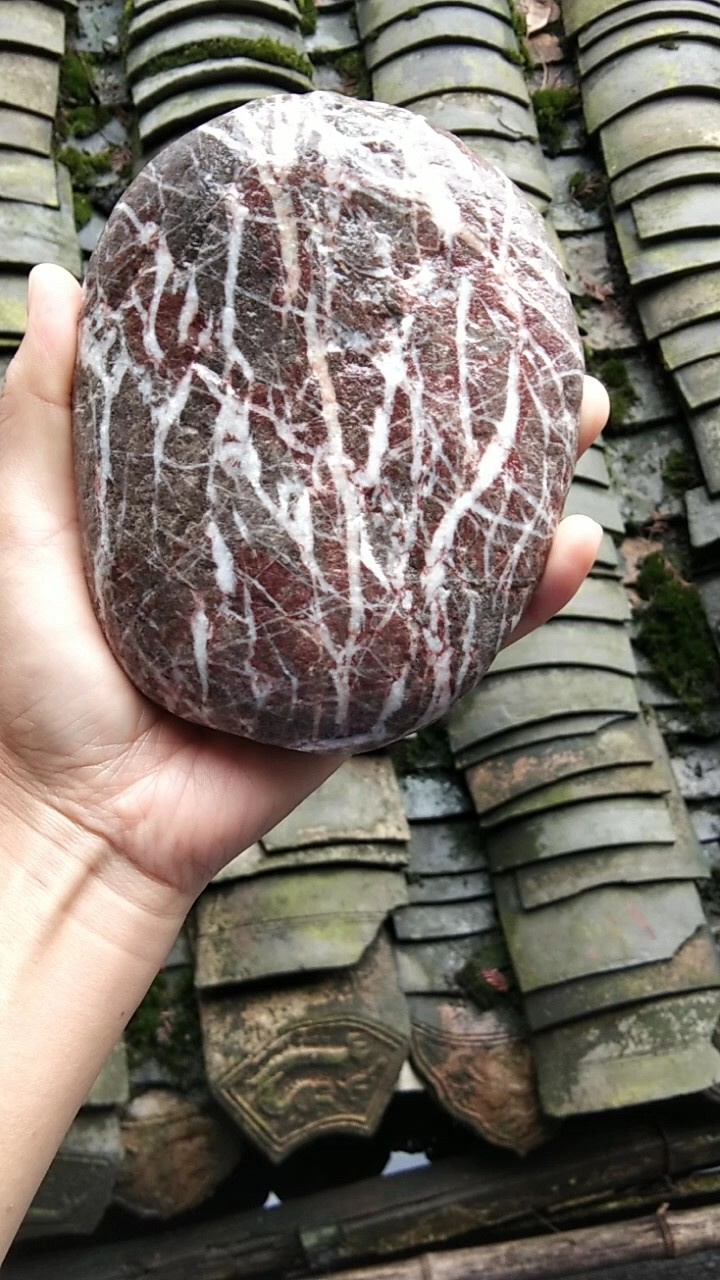 - 我是你的“小心肝”吗?