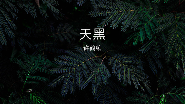 许鹤缤《天黑》歌词版