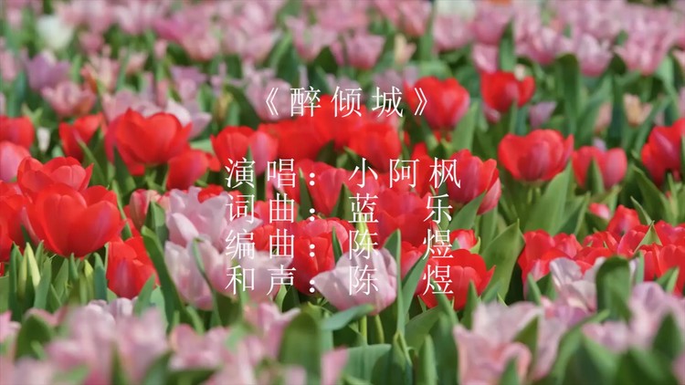 小阿枫醉倾城dj名龙版我愿此生朝朝暮暮与你相偎