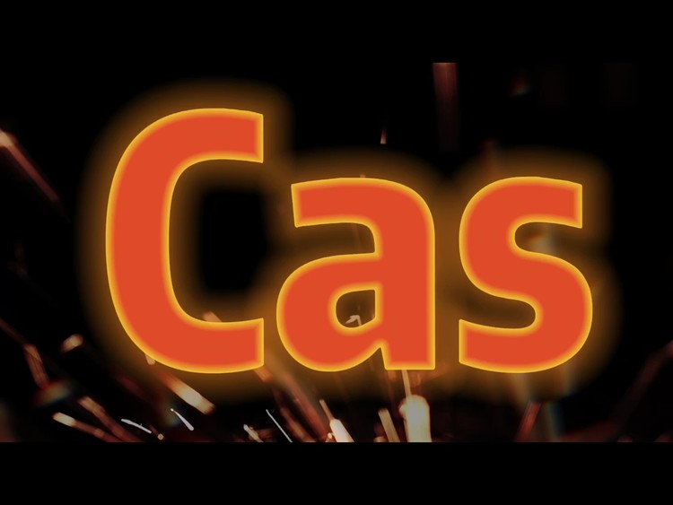 - 【Cas】翻自:Cas14