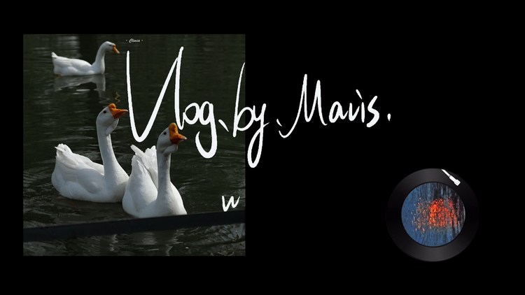  - 3月早餐Vlog库存