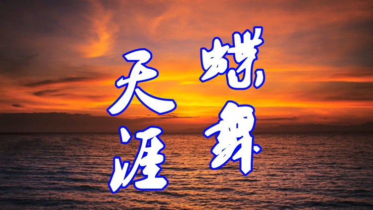  - 杨志广 - 蝶舞天涯MV