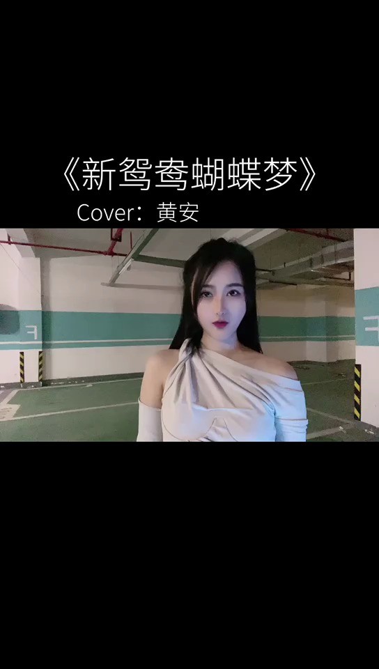  - 《新鸳鸯蝴蝶梦》