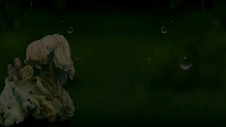 - 秋荷听雨(李福华独奏)