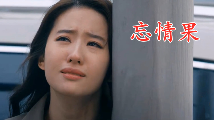 马健南伤感情歌《忘情果》火遍全网,心都碎了,还在念着你的好