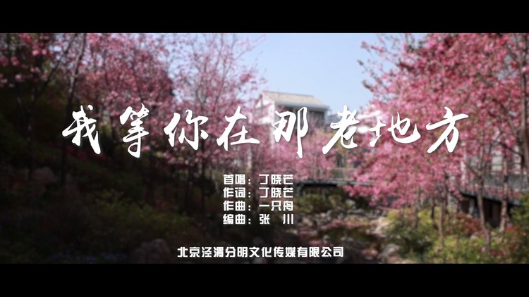  - 我等你在那老地方 丁晓芒