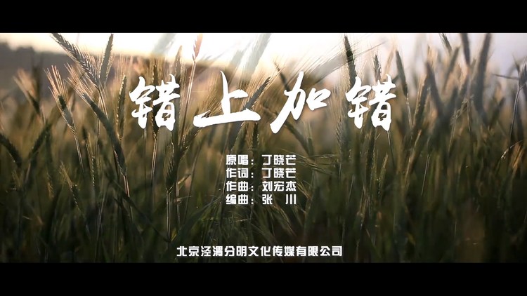  - 错上加错 丁晓芒