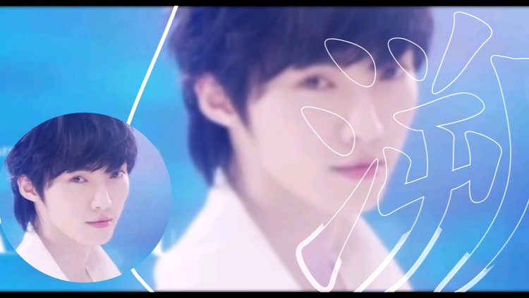 - 赵磊 溯 颜向混剪