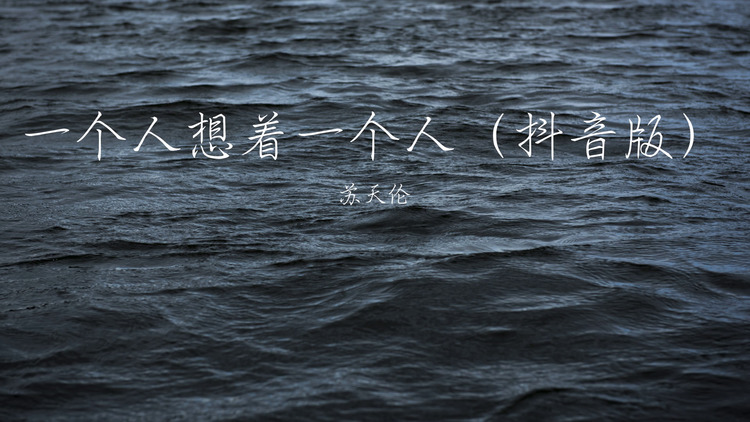 苏天伦演唱的《这一生关于你的风景(dj版)》歌词版mv