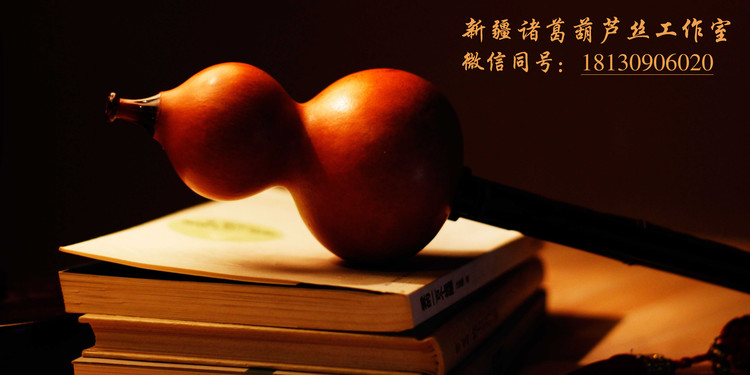  - 诸葛  葫芦丝《我爱你，中国》（四重奏）