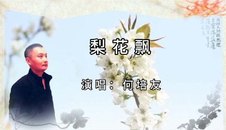  - 《梨花飘》