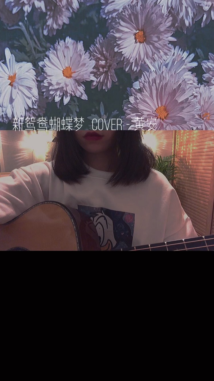  - 新鸳鸯蝴蝶梦