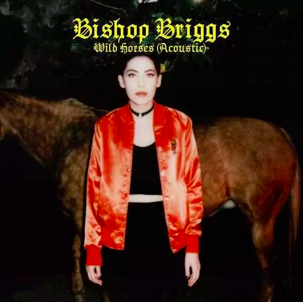 随后没过过久briggs就以bishop的名字录制了自己的第一首单曲wild