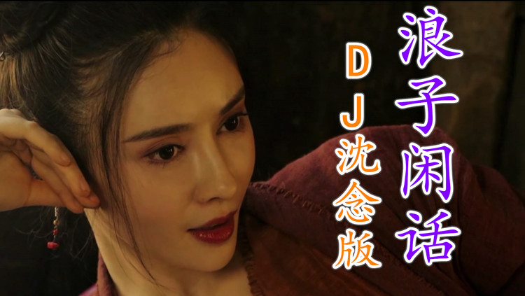 花僮《浪子闲话》dj沈念版,闻琵琶谁人画,不再春风如寒鸦