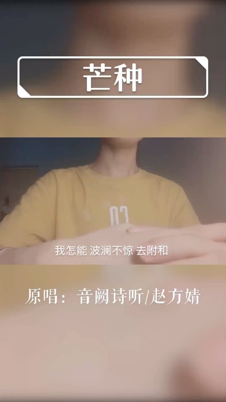 - 芒种(Cover音阙诗听/赵方婧)