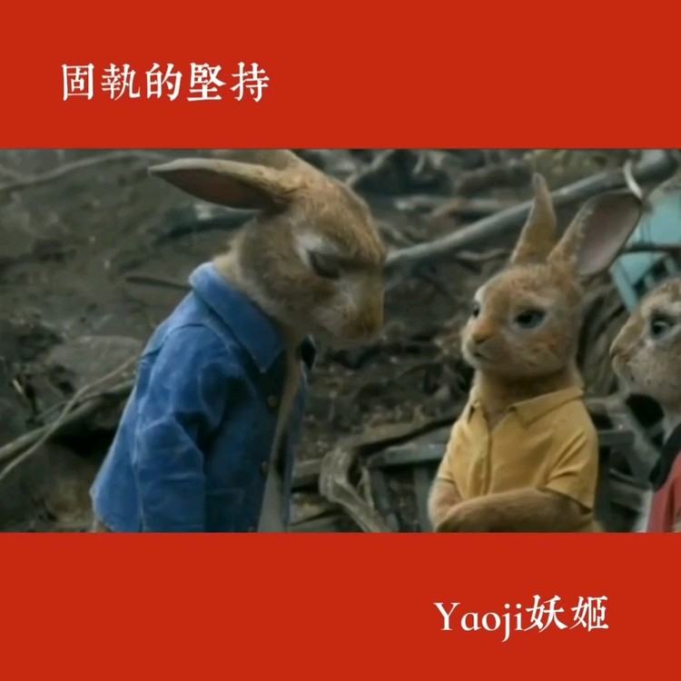  - 固执的坚持