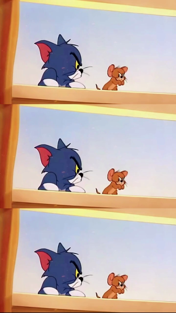 汤姆跟杰瑞的友谊真是让人们羡慕不已啊好朋友 猫和老鼠