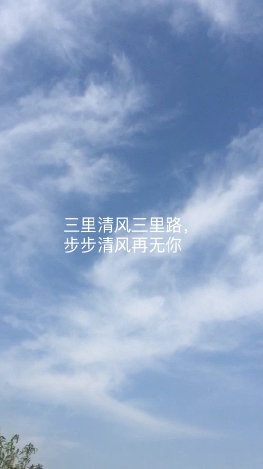  - 婉君我爱你（剪辑版）