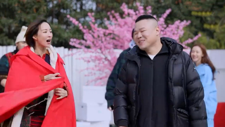 明星找德云社要票合集,张钧甯要岳云鹏拿票道歉,坦言给票就原谅