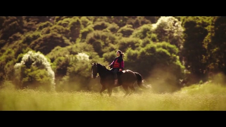  - 刘亦菲版的花木兰