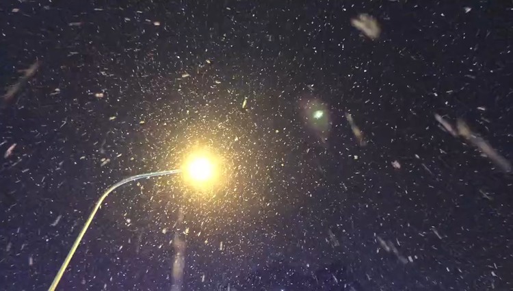 - @代鑫Magicbus:这是4月新歌《人间 四月雪》,是全频采样的一种实验音乐作品,希望大家能够喜欢。