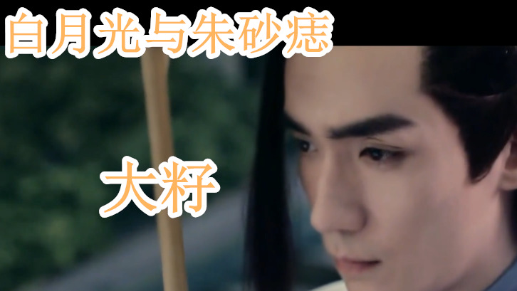 白月光与朱砂痣白是窗前明月光红是心口朱砂痣