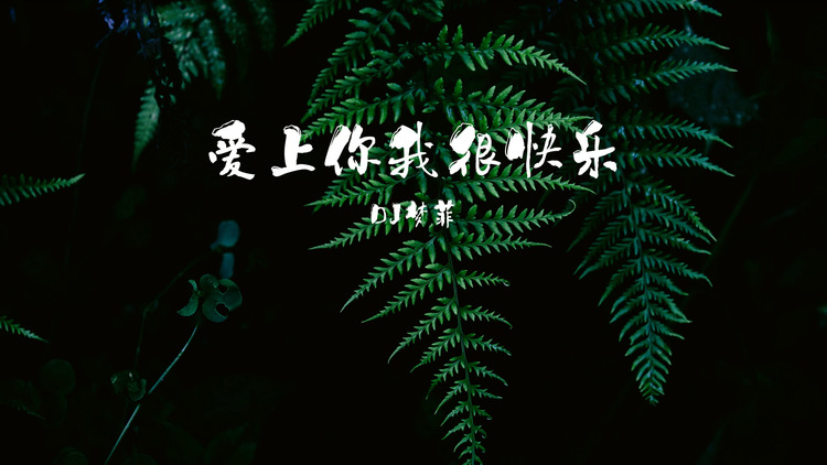 dj夢菲《愛上你我很快樂》——歌詞版mv