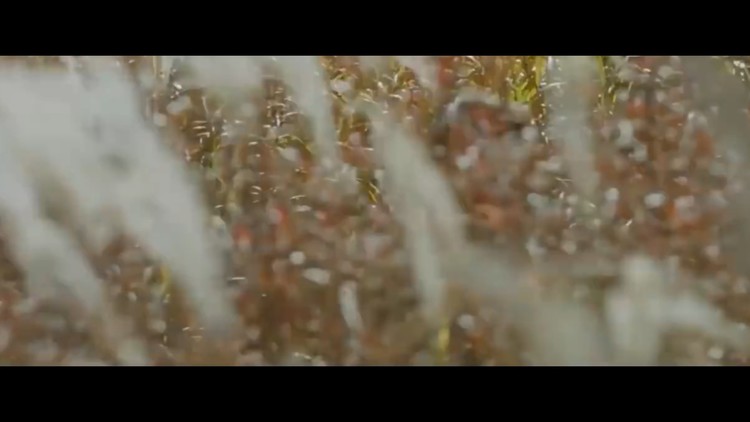 - 【阳光先生】《슬픈 행진(sad march)》Elaine