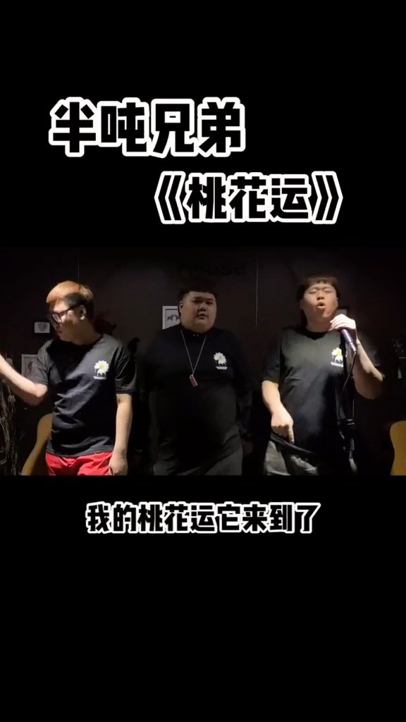 半吨兄弟《桃花运》