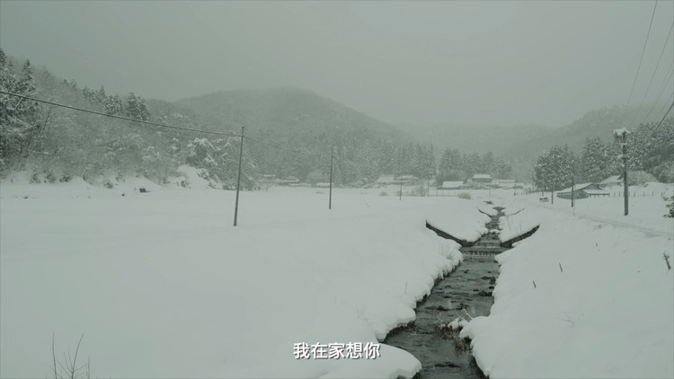  - 马格《雪》cover