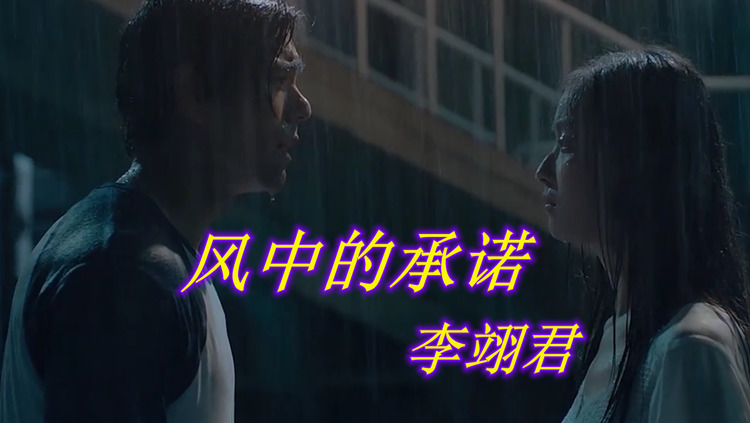 李翊君《风中的承诺》多少缠绵编织成的梦,多少爱恨刻画的镜头