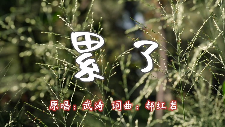 武涛单曲《累了》 寒冷的风不停的吹 吹不散心头的身心疲惫