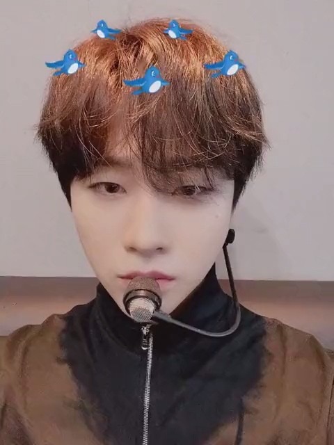 ikon金振焕自拍视频