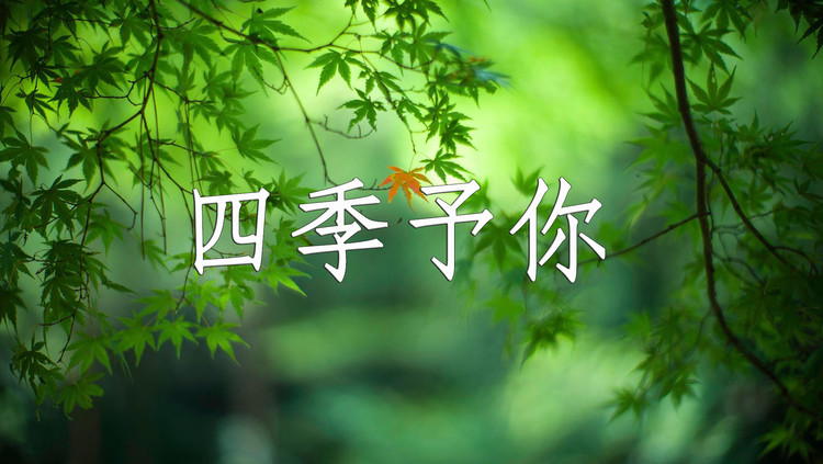 原创流行钢琴曲演奏-艾美-我在孤独的路上