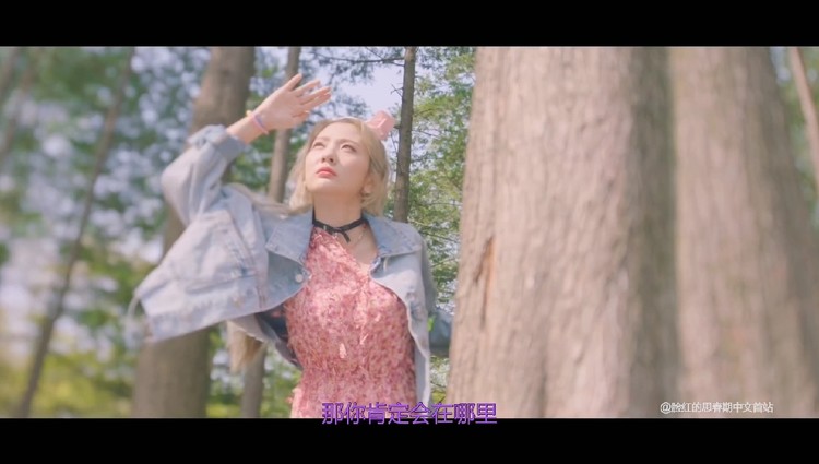  - 脸红的思春期 - 蝴蝶与猫 (Feat. 伯贤(BAEKHYUN))预告中字